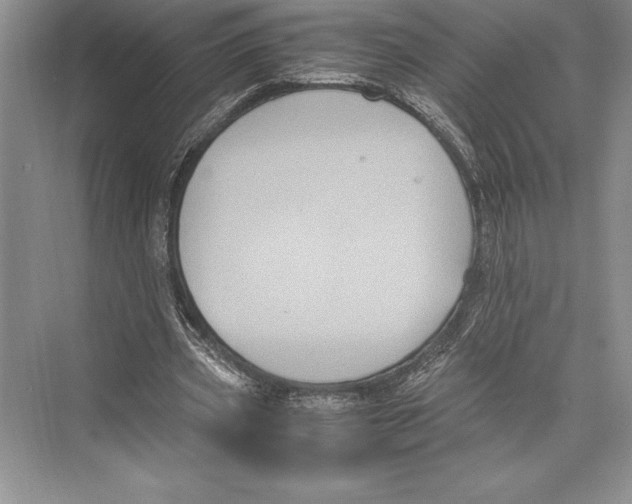 X0000072500533200608111630