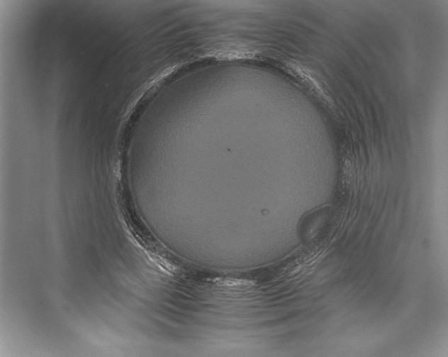 X0000072500539200608111630