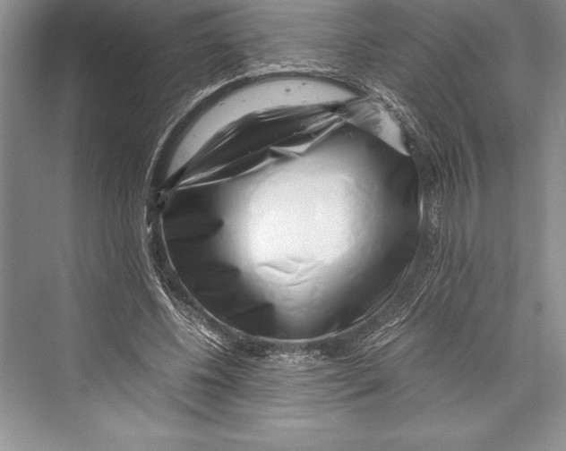 X0000072500540200608111631