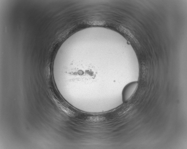 X0000072500541200608111631