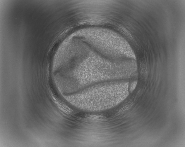 X0000072500542200608111631