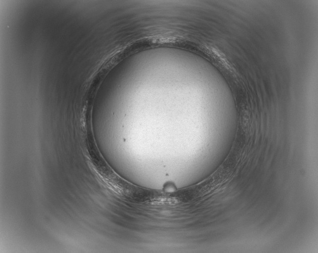 X0000072500543200608111631