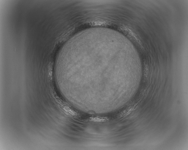 X0000072500545200608111631