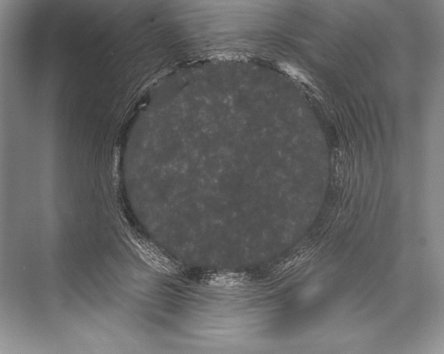 X0000072500550200608111631