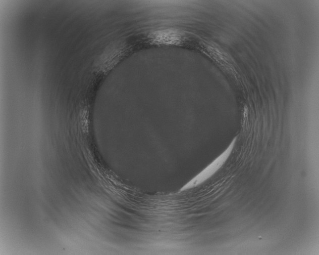 X0000072500551200608111631