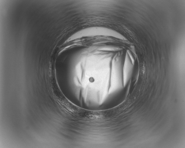 X0000072500552200608111631