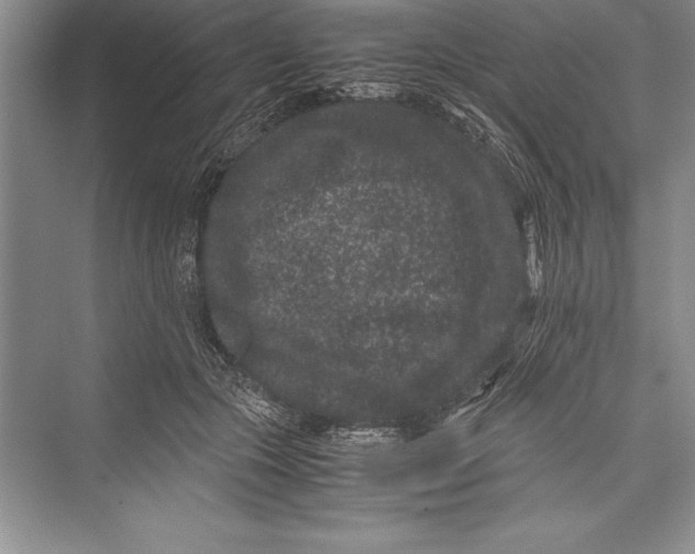 X0000072500553200608111631