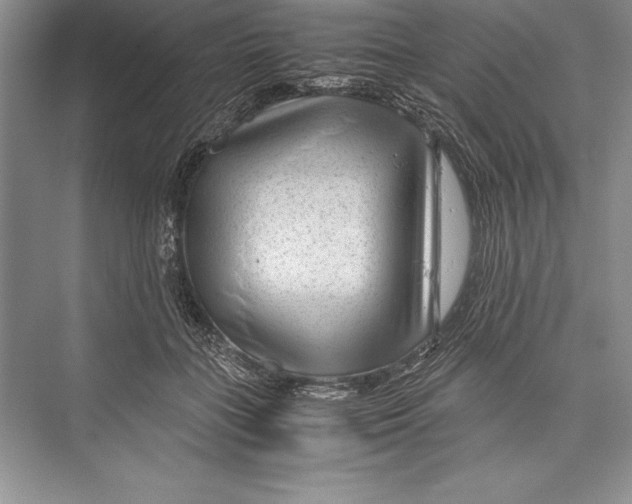 X0000072500555200608111631