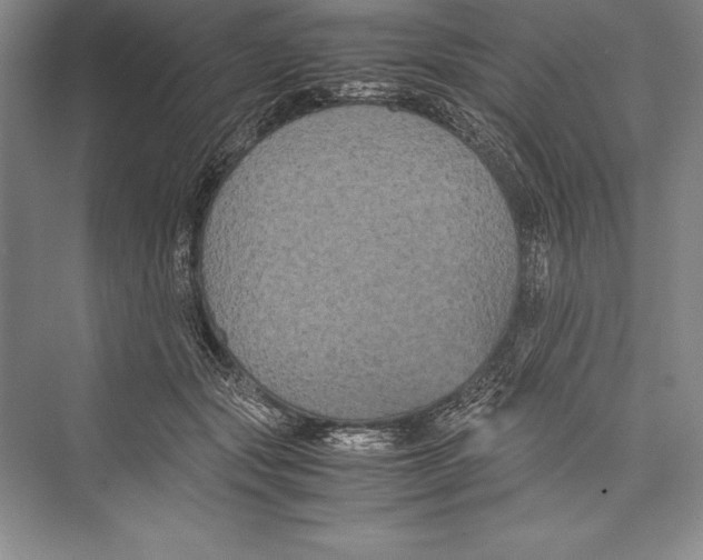 X0000072500557200608111631