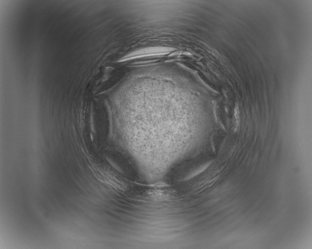 X0000072500558200608111631