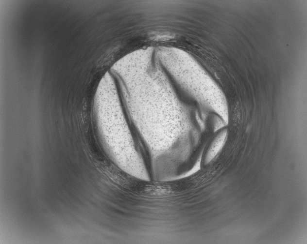 X0000072500559200608111631