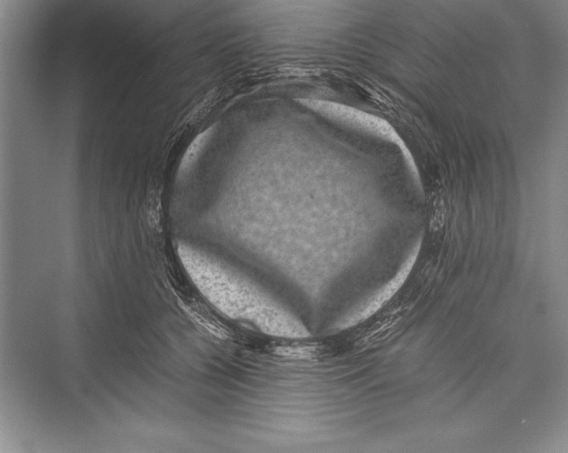 X0000072500560200608111631