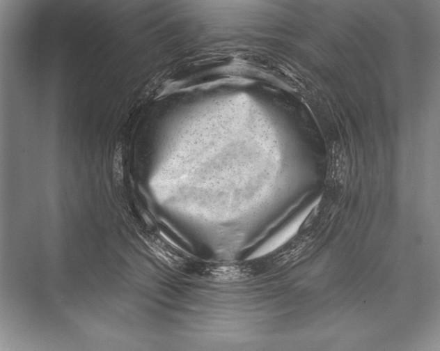 X0000072500562200608111631