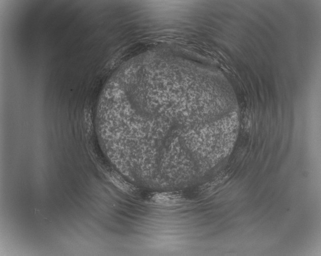 X0000072500568200608111631