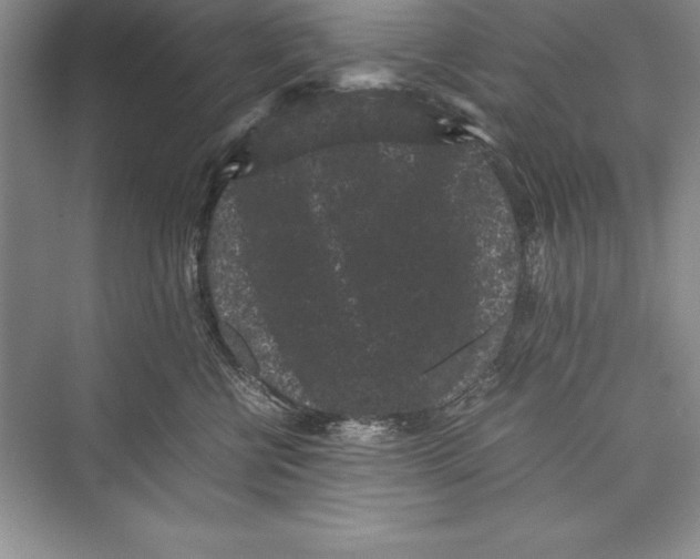 X0000072500570200608111631