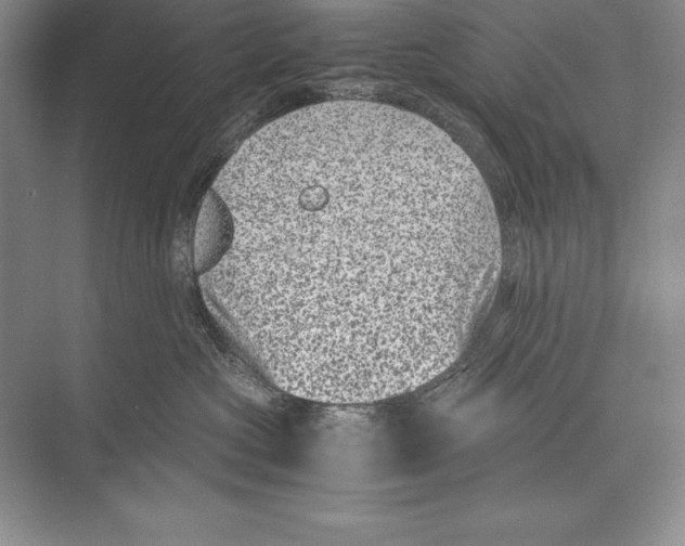 X0000072500573200608111631