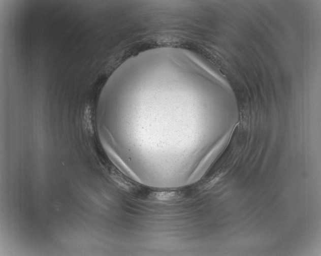 X0000072500575200608111631