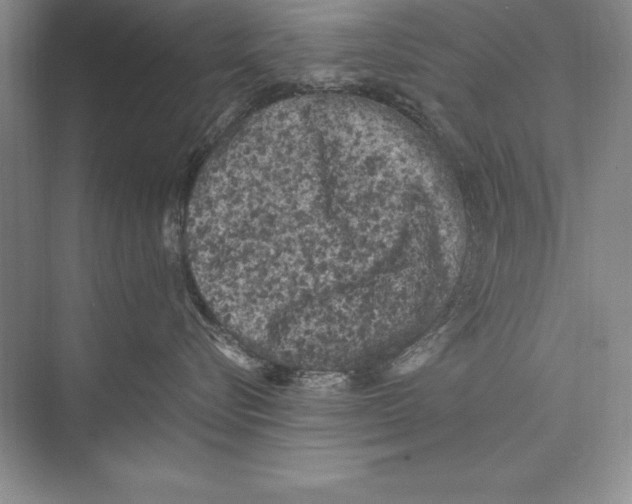 X0000072500576200608111631