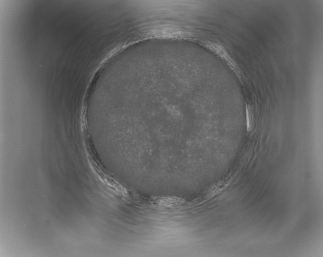 X0000072500579200608111630