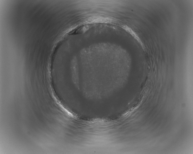 X0000072500581200608111630