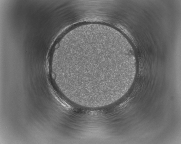 X0000072500584200608111630