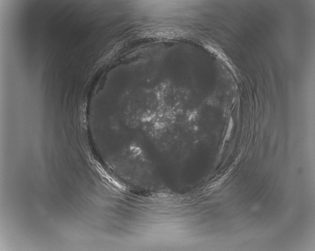 X0000072500585200608111630