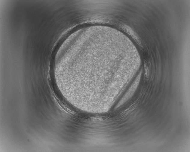 X0000072500588200608111630