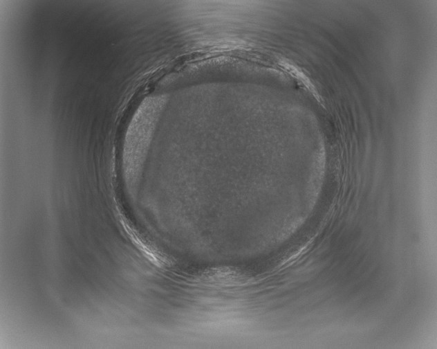 X0000072500589200608111630