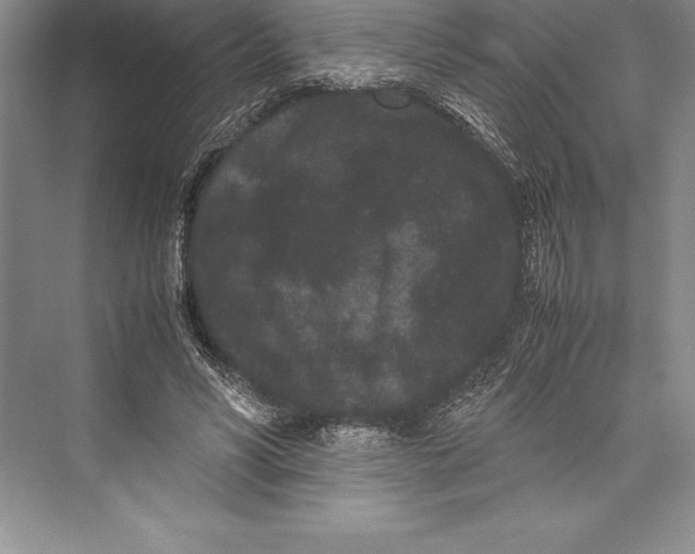 X0000072500590200608111630