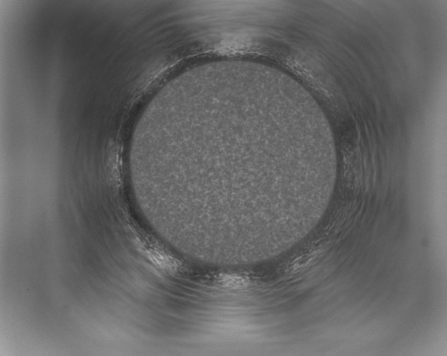 X0000072500592200608111630