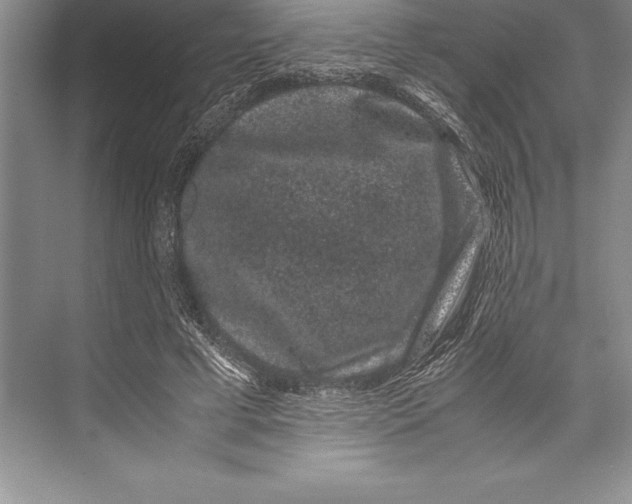 X0000072500593200608111630