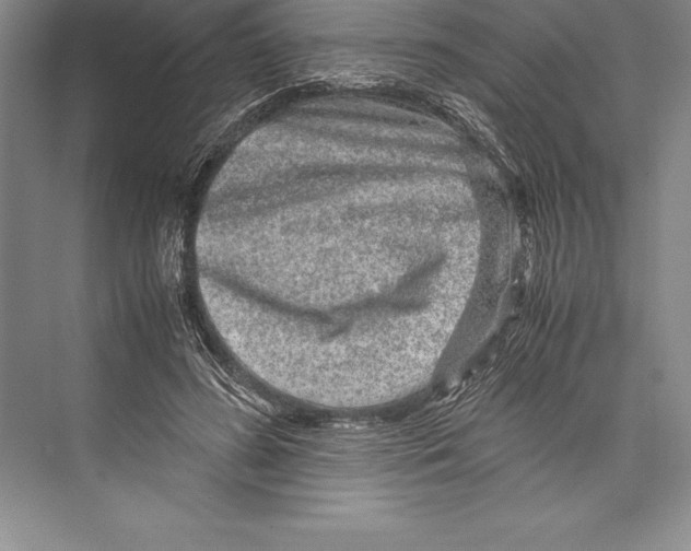 X0000072500596200608111630