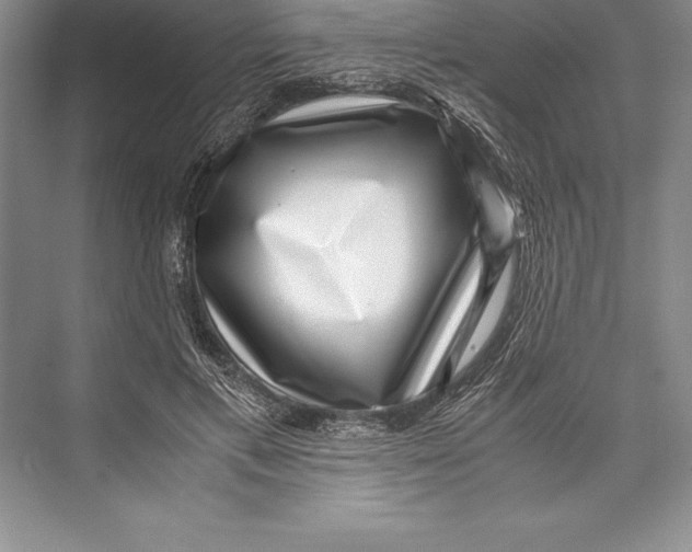 X0000072500597200608111630