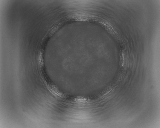 X0000072500598200608111630