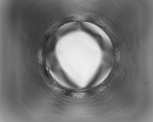 X0000072500599200608111630