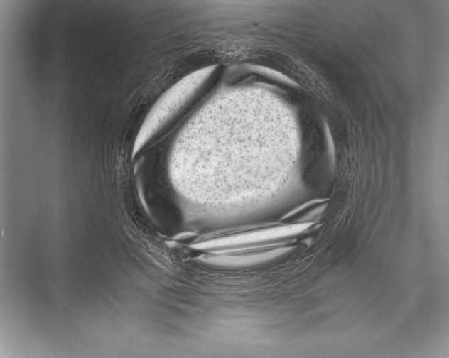 X0000072500601200608111630