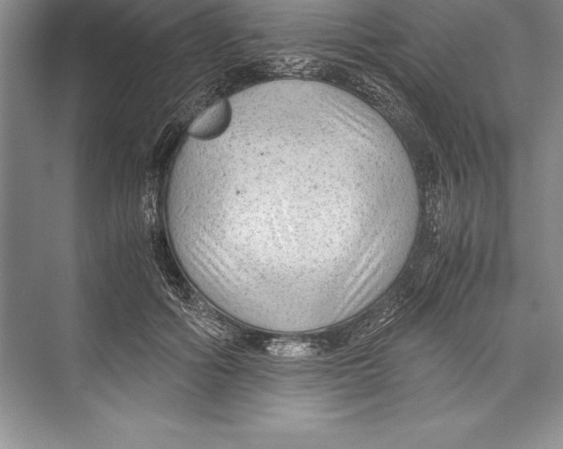 X0000072500602200608111630