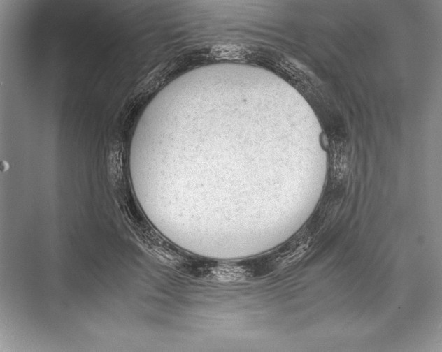 X0000072500603200608111630