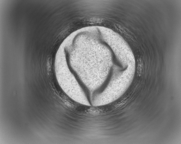 X0000072500608200608111630