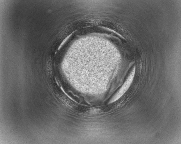 X0000072500609200608111630