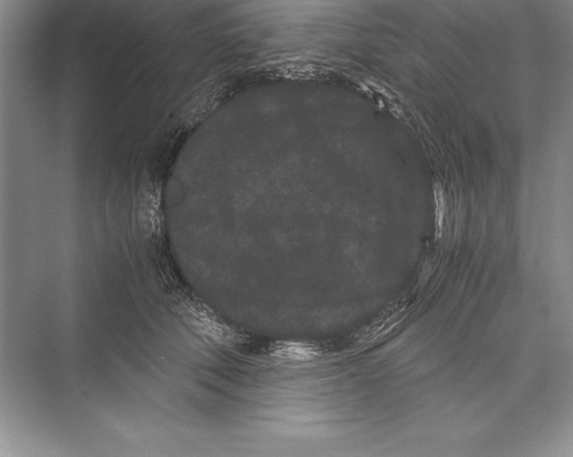 X0000072500610200608111630