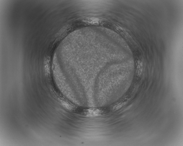 X0000072500612200608111630