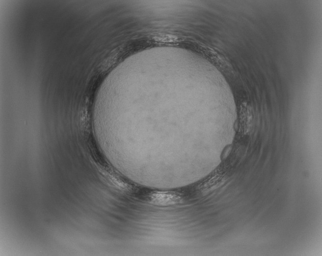 X0000072500614200608111630