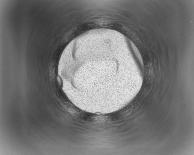 X0000072500615200608111630