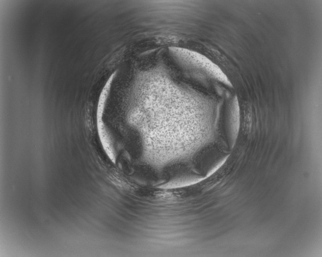 X0000072500616200608111630