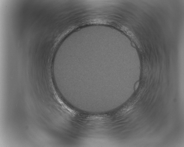 X0000072500625200608111629