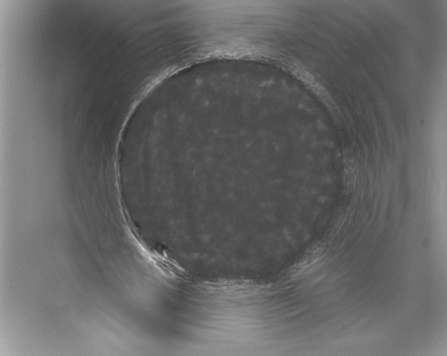 X0000072500626200608111629