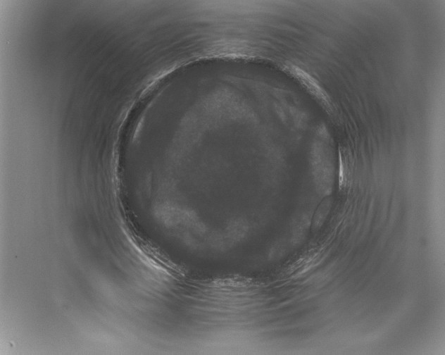 X0000072500627200608111629