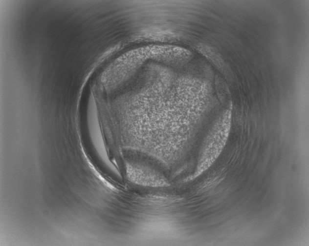 X0000072500630200608111629