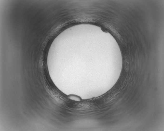 X0000072500631200608111629